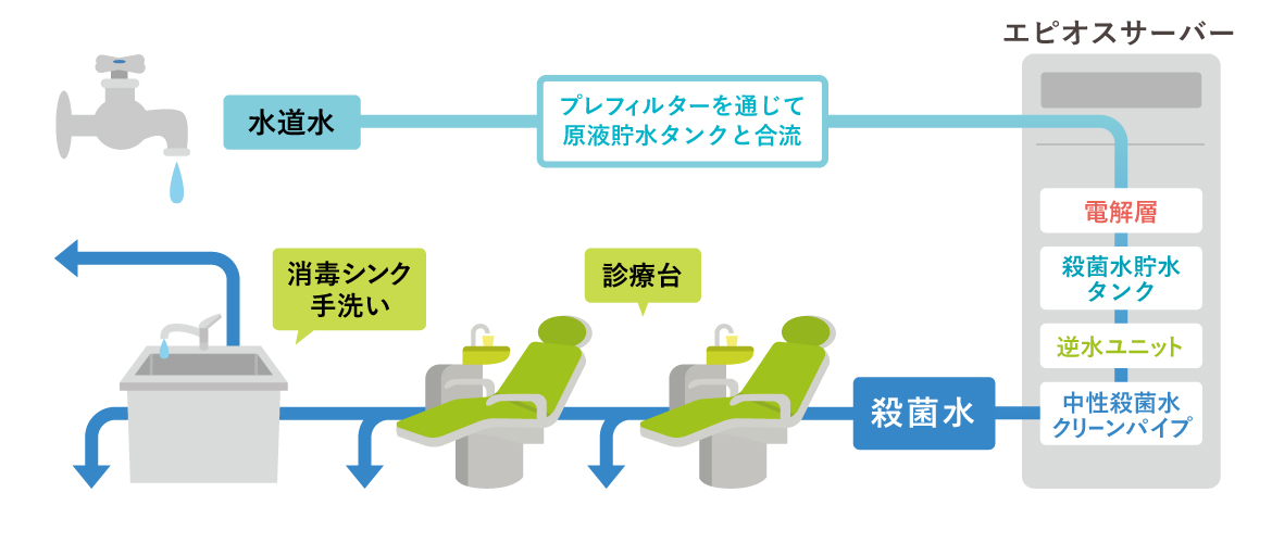 エコシステム